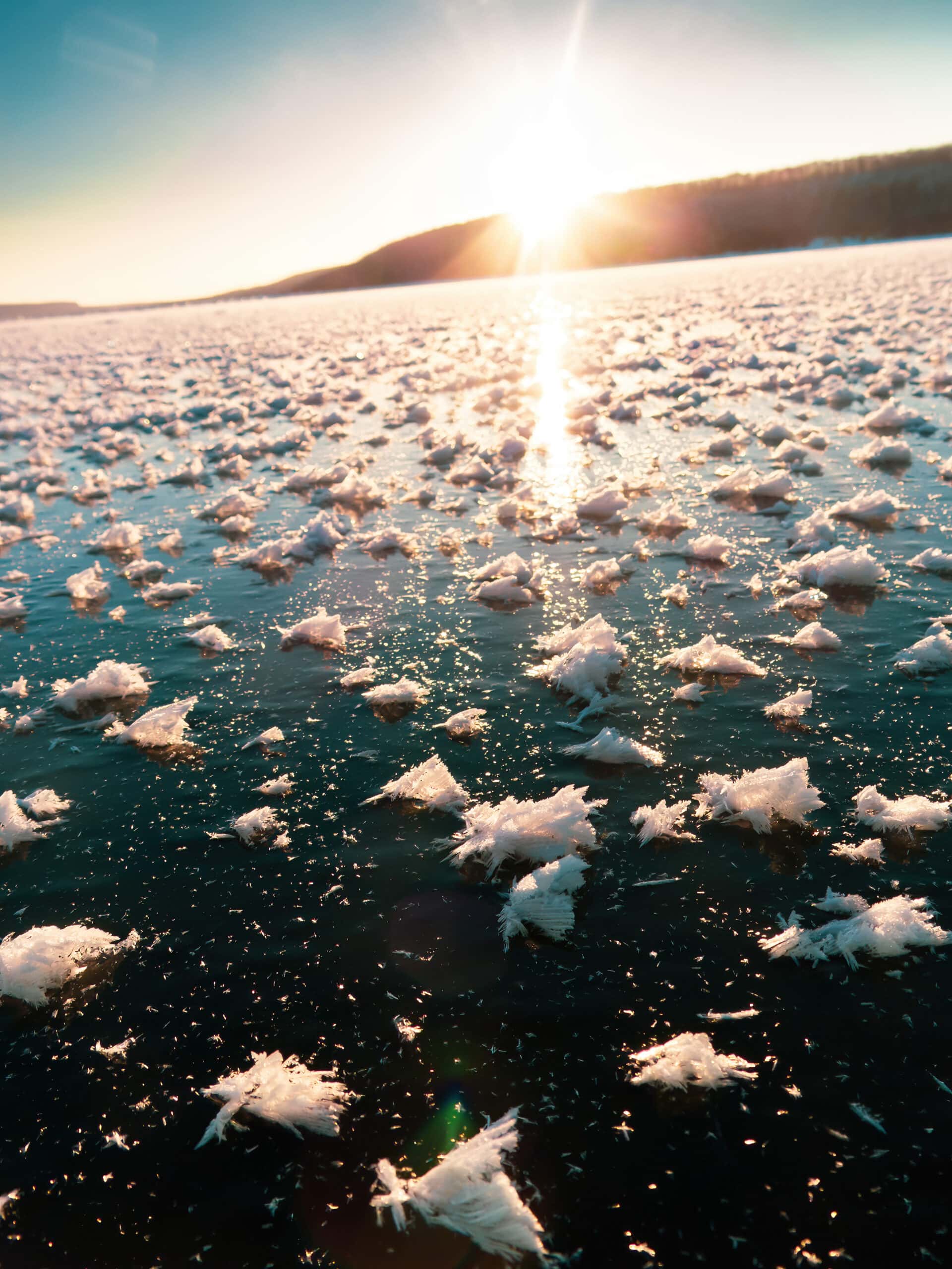 Frost flowers sit on the glassy surface of the frozen lake
