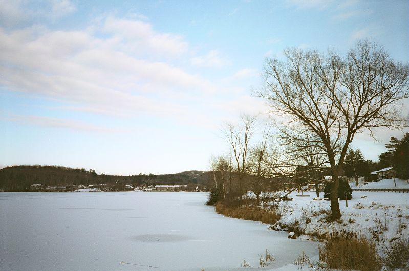 Landscape view of the edge of a frozen lake. A few trees stand bare on the shore.