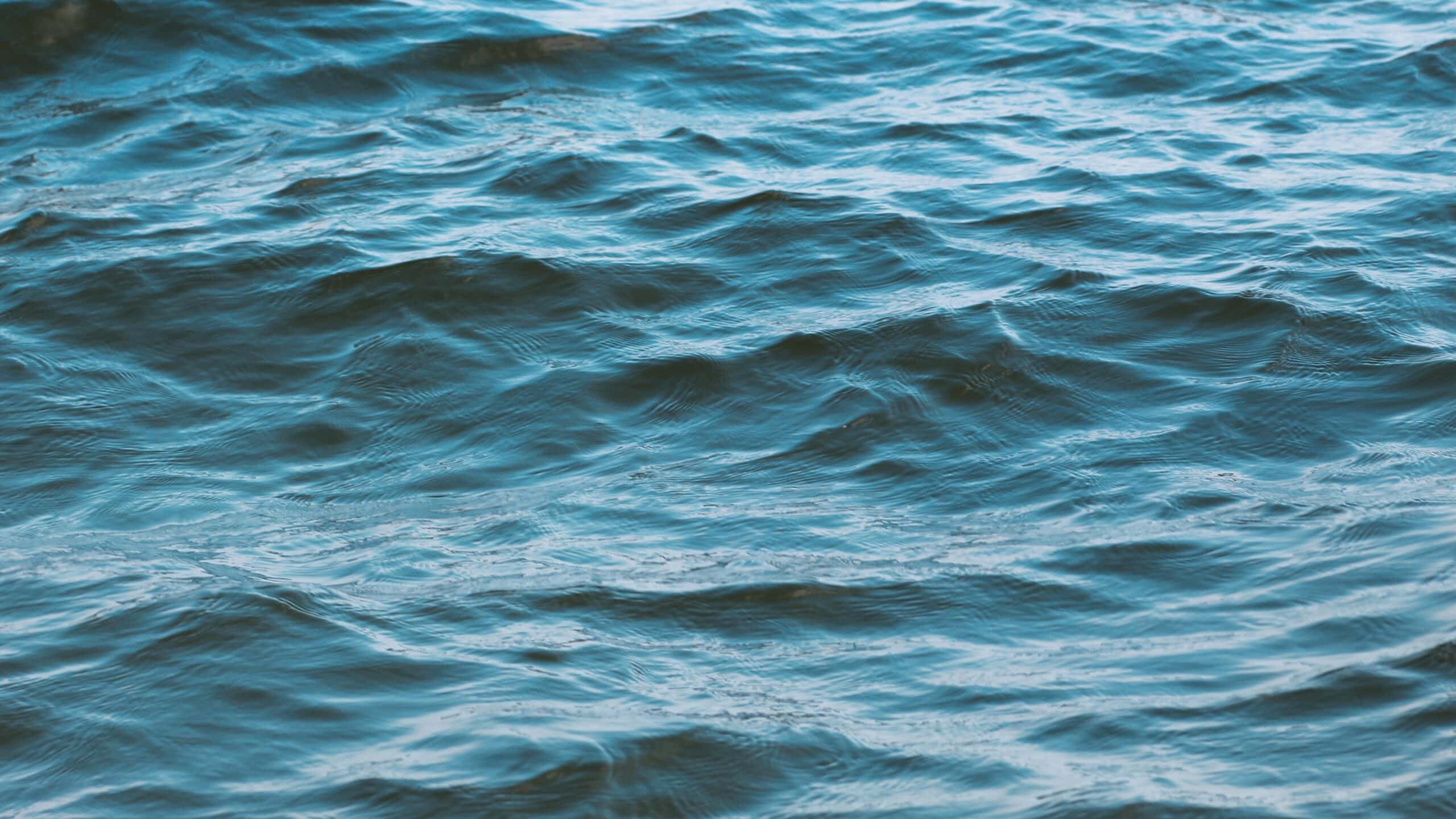 Closeup of dark lake water